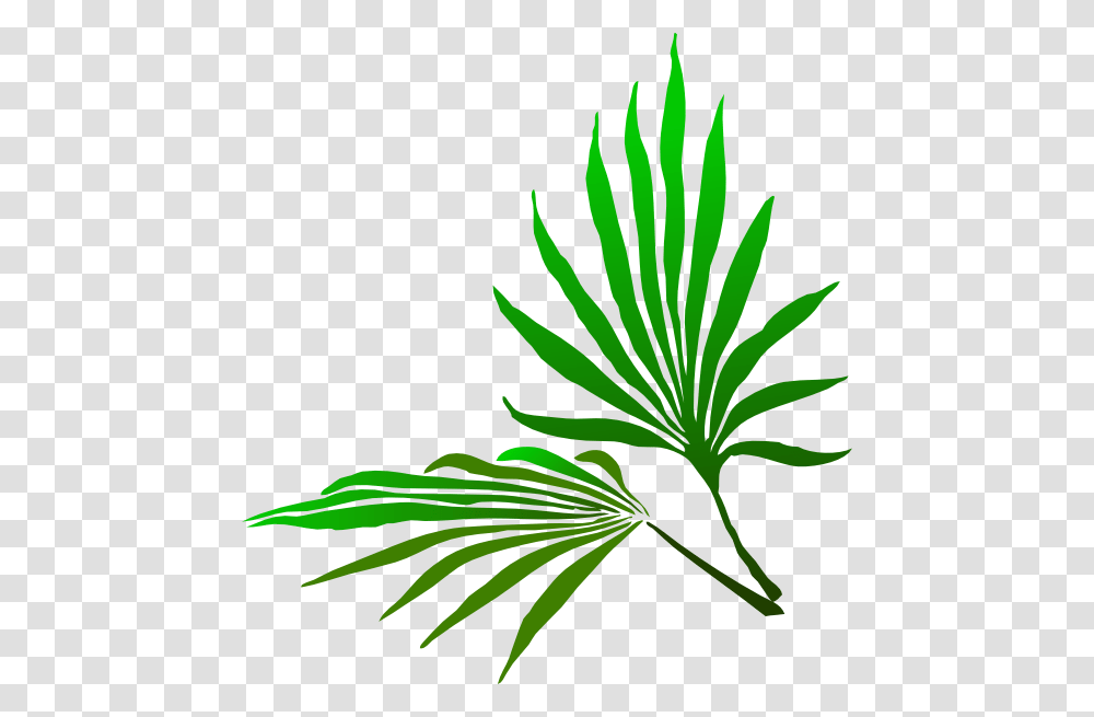 Palm Trees, Leaf, Plant, Green, Weed Transparent Png