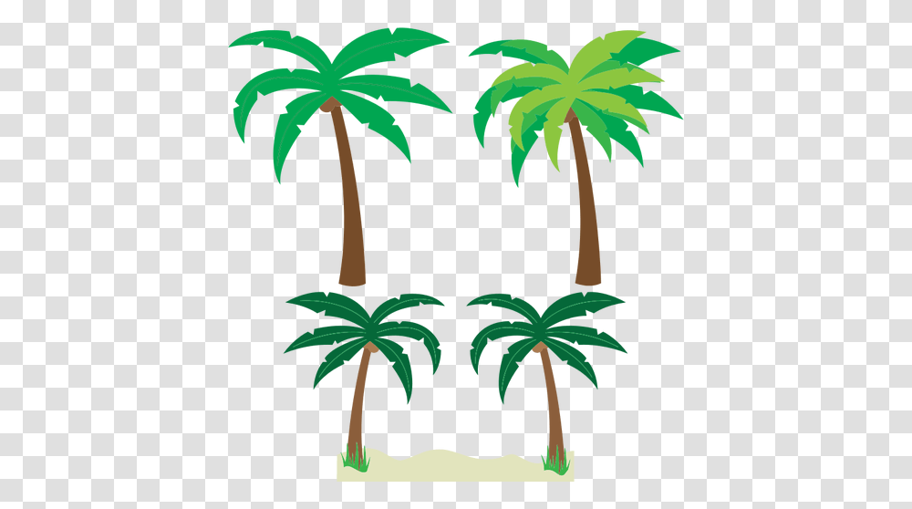 Palm Trees, Plant, Arecaceae, Leaf, Para Rubber Tree Transparent Png