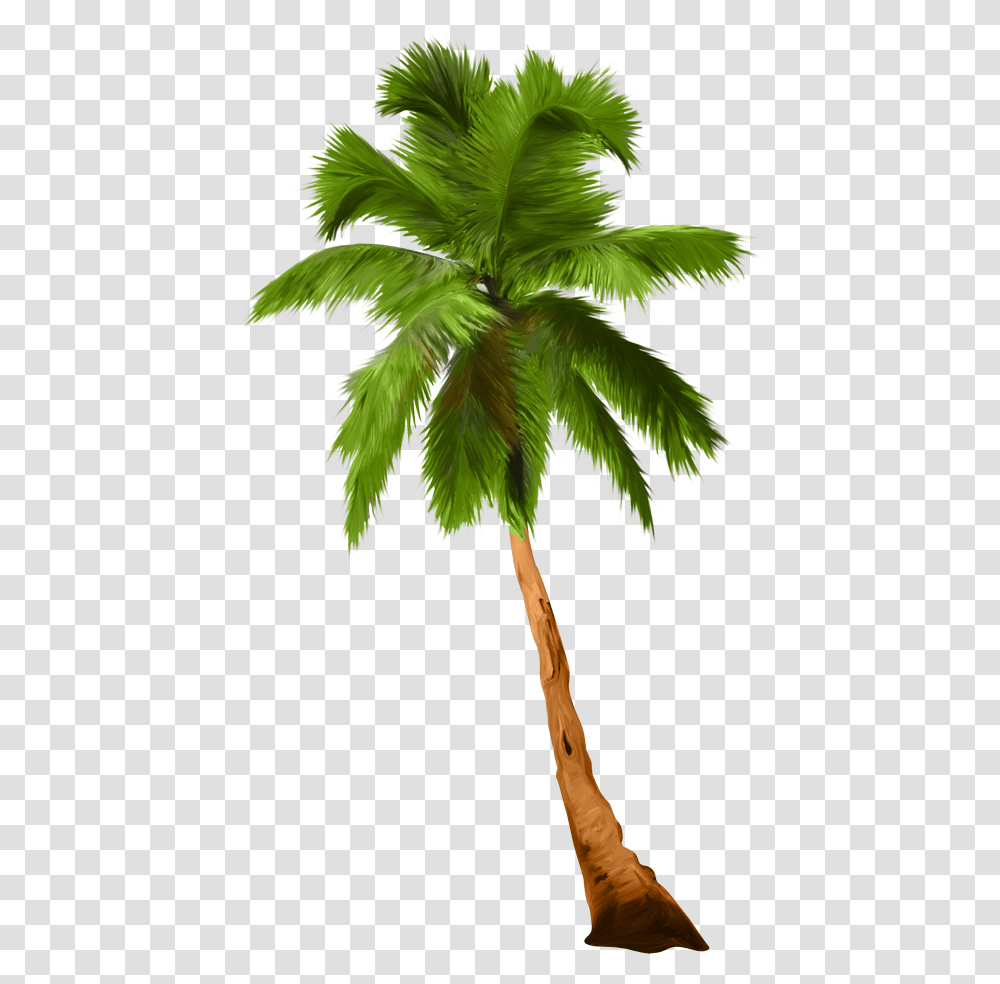 Palm Trees, Plant, Arecaceae Transparent Png