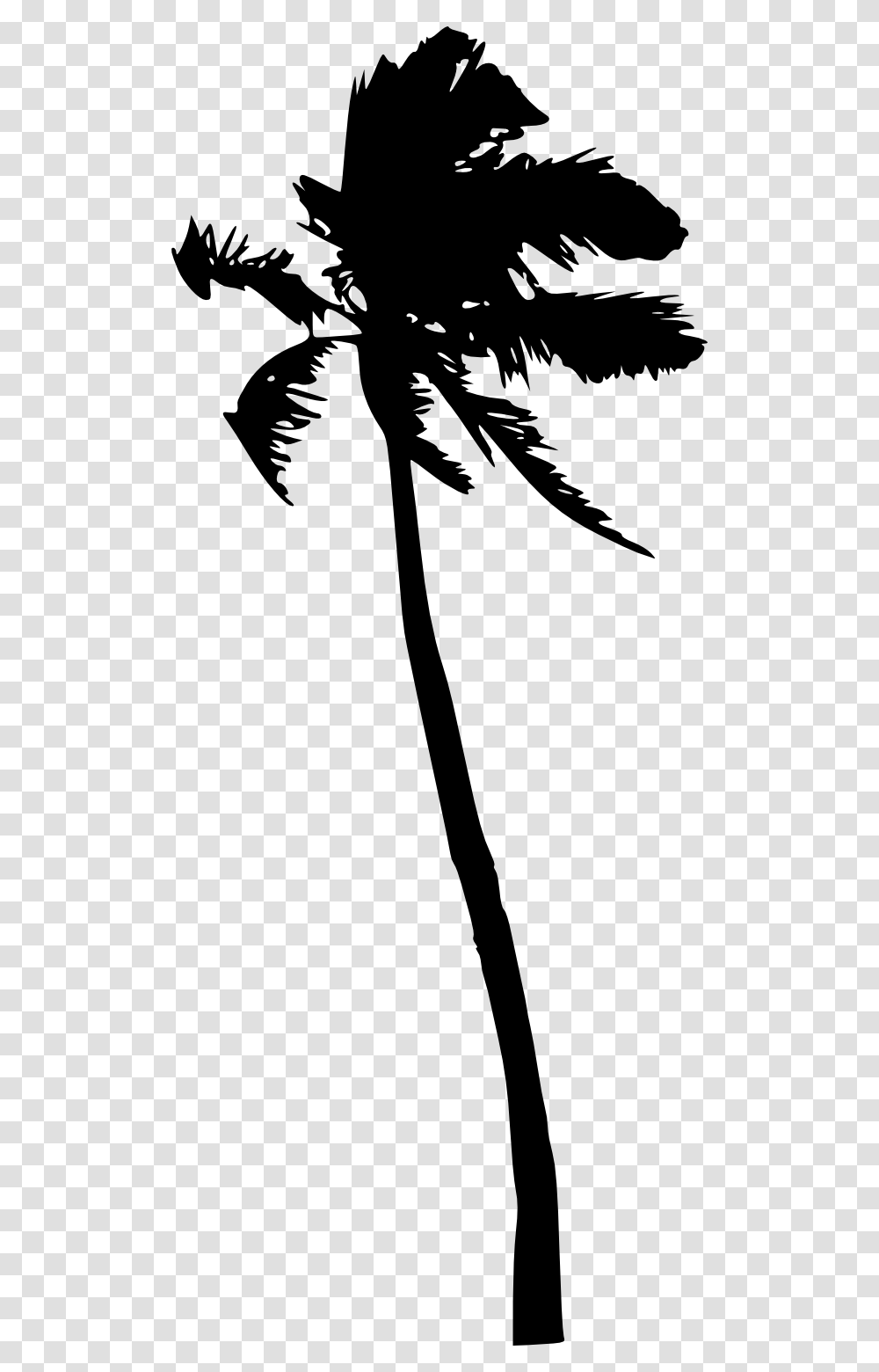 Palm Trees Portable Network Graphics Silhouette Clip, Plant, Stencil, Arecaceae Transparent Png