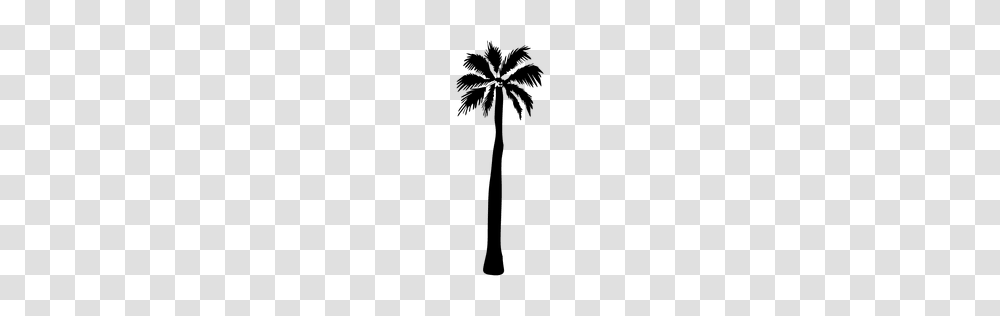 Palm Trees Silhouette, Plant, Arecaceae Transparent Png
