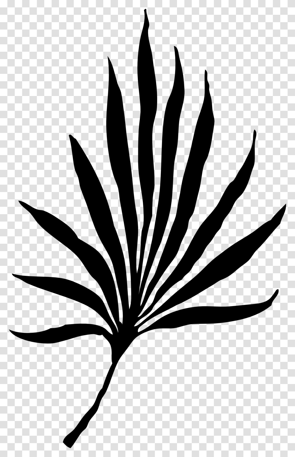 Palm Vector Graphics Palm Frond Clip Art, Bird, Animal, Stencil, Paper Transparent Png