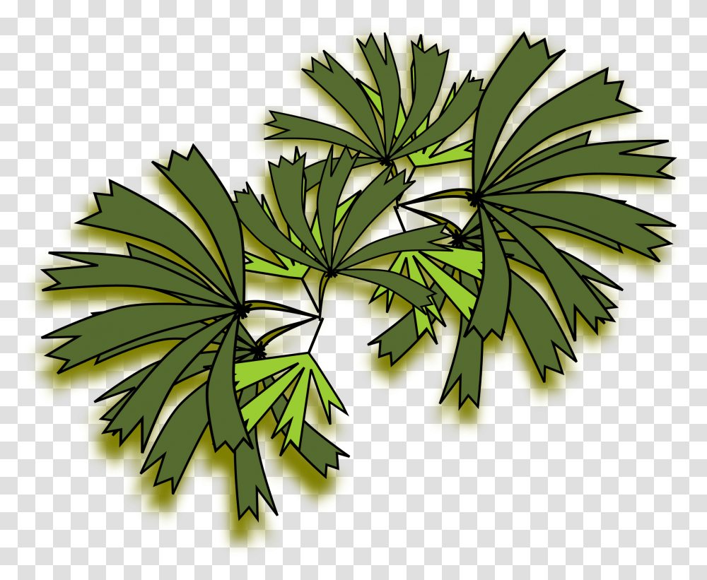 Palmeira Raphis Clip Arts Raphis Palm Top View, Leaf, Plant, Green, Pineapple Transparent Png