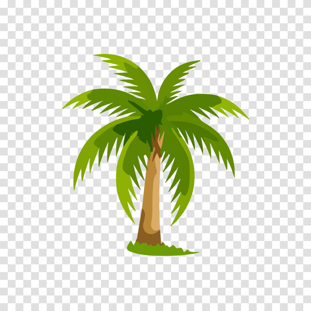 Palmera Tropical Imagui Palm Tree Clip Art, Plant, Arecaceae Transparent Png