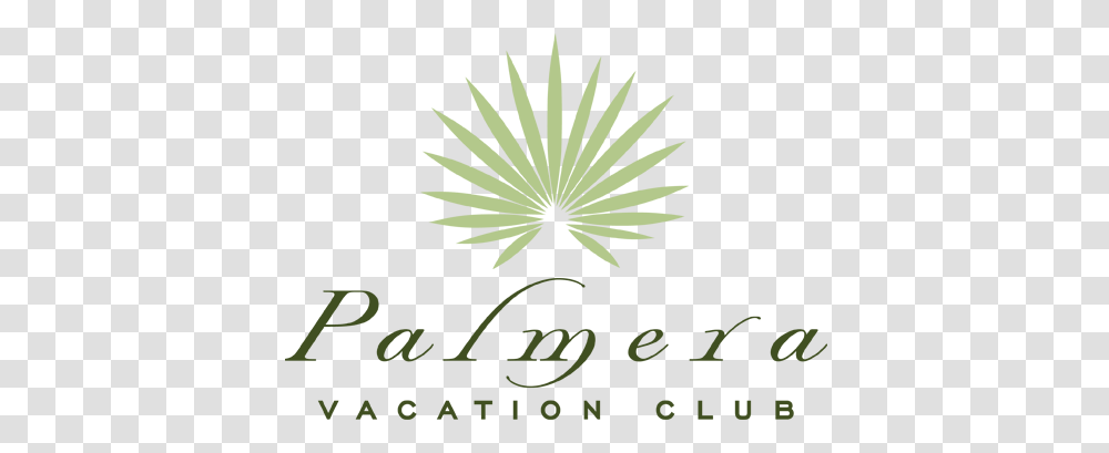 Palmera Vacation Club Hilton Head Islands Premiere Vacation Club, Green, Lighting, Rug, People Transparent Png