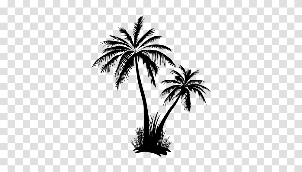 Palmeras En Image, Plant, Palm Tree, Arecaceae Transparent Png
