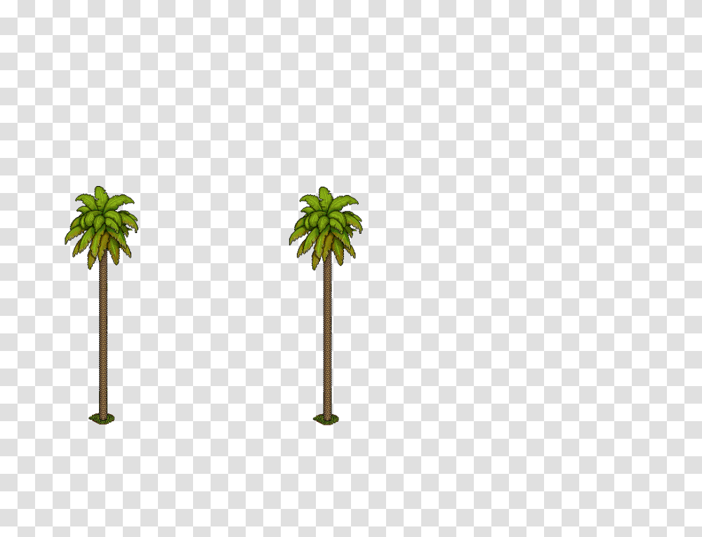 Palmeras, Plant, Tree, Palm Tree, Leaf Transparent Png