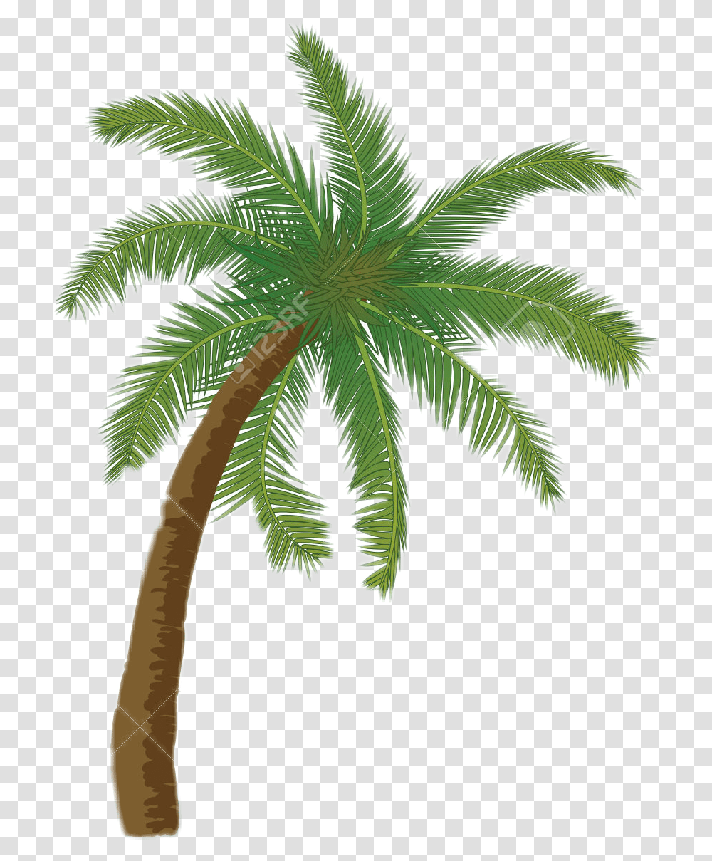 Palmeras Tropicales Sticker De Palmeras, Plant, Leaf, Palm Tree, Arecaceae Transparent Png