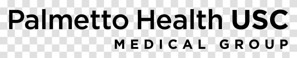 Palmetto Health Usc Medical Group Logo, Gray, World Of Warcraft Transparent Png