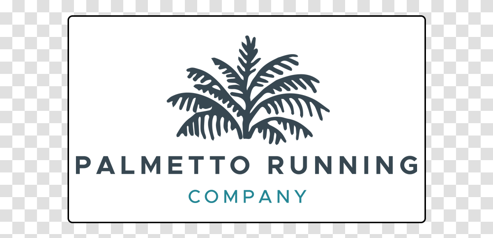 Palmetto Running Company Hilton Head Island, Plant, Stencil, Silhouette, Tree Transparent Png