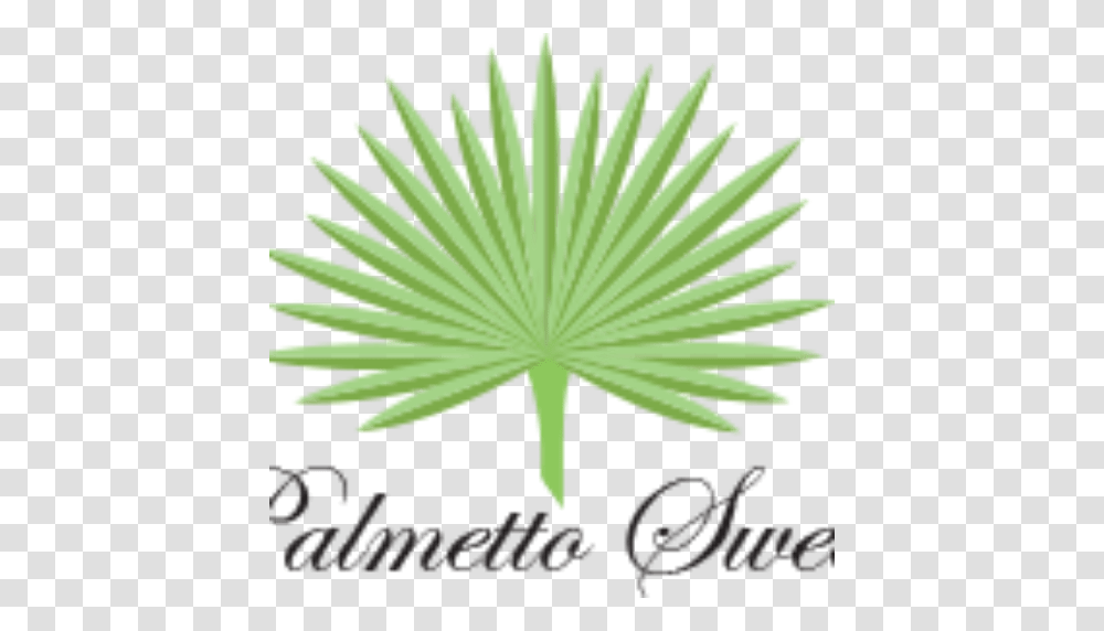 Palmetto Sweets A Hand Crafted Southern Tradition, Plant, Green, Leaf, Flower Transparent Png