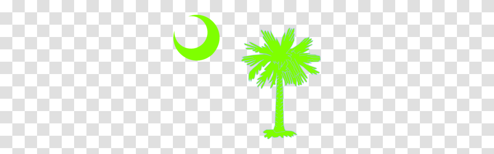 Palmetto Tree Clip Art Look, Plant, Palm Tree, Arecaceae, Cross Transparent Png