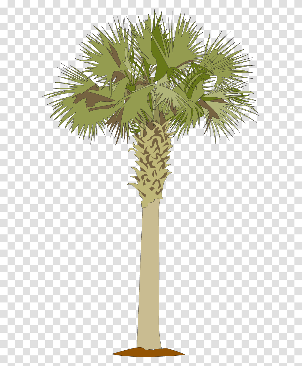 Palmetto Tree Clipart, Plant, Palm Tree, Vegetation, Green Transparent Png