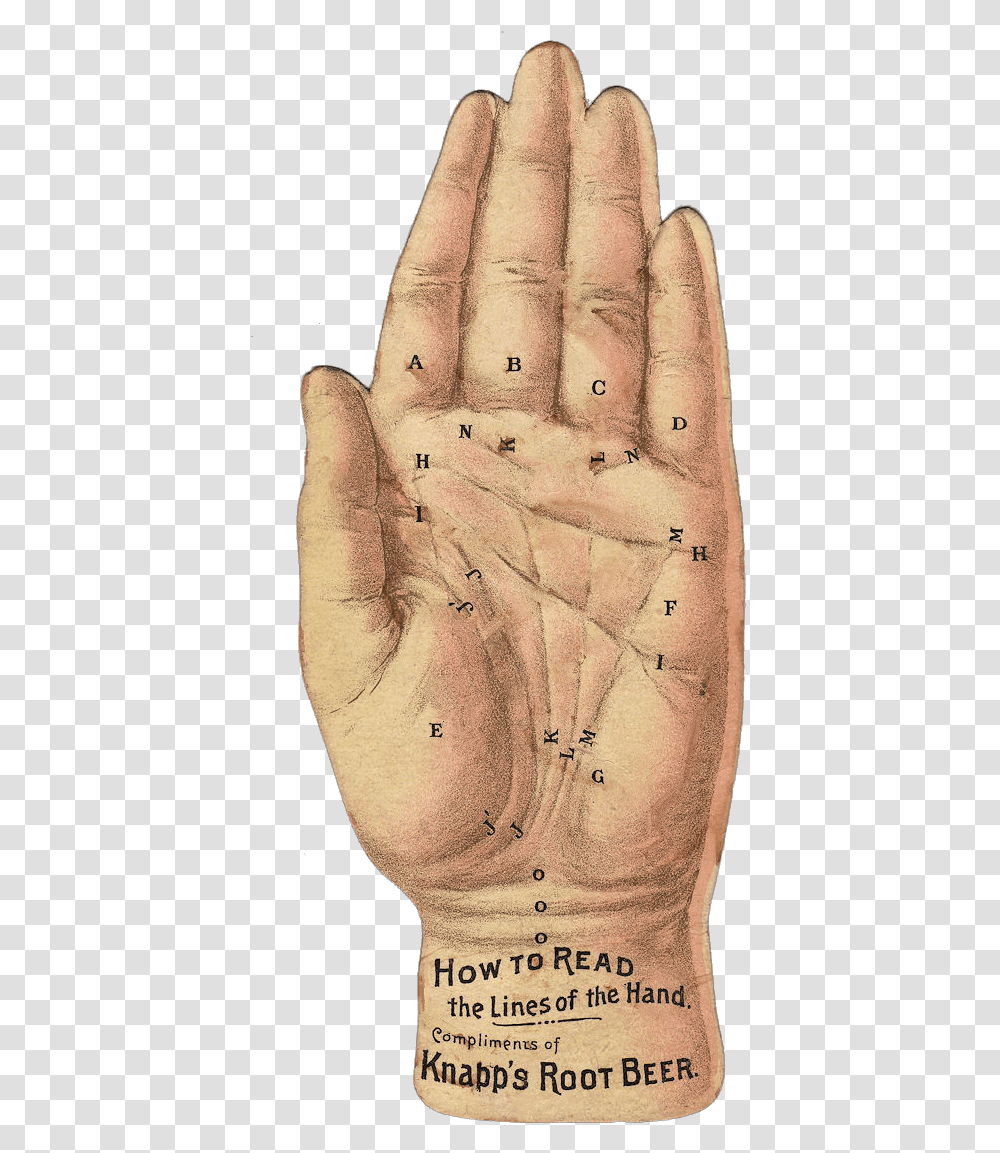 Palmistry, Finger, Person, Hand Transparent Png