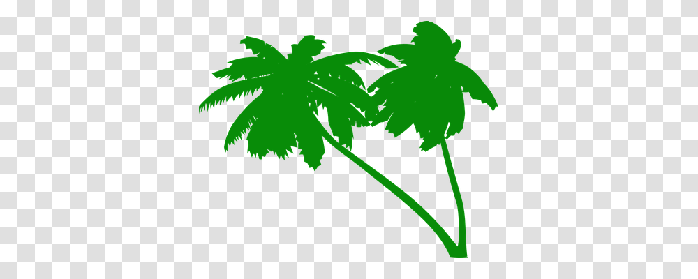 Palms Holiday, Leaf, Plant, Green Transparent Png