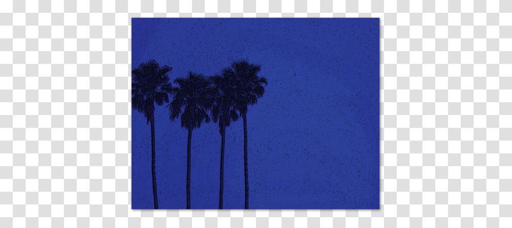 Palms At Midnight Note Carddata Captionclass Borassus Flabellifer, Palm Tree, Plant, Arecaceae, Astronomy Transparent Png