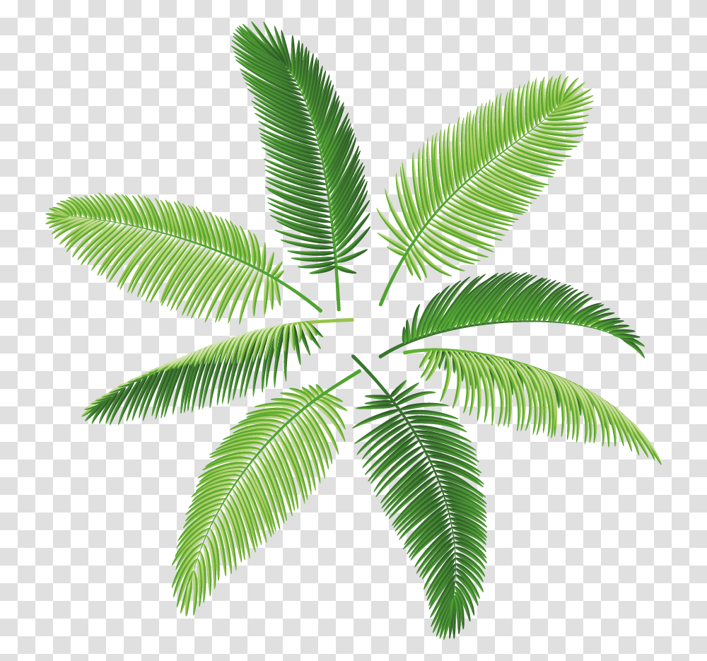 Palms, Green, Leaf, Plant, Vegetation Transparent Png