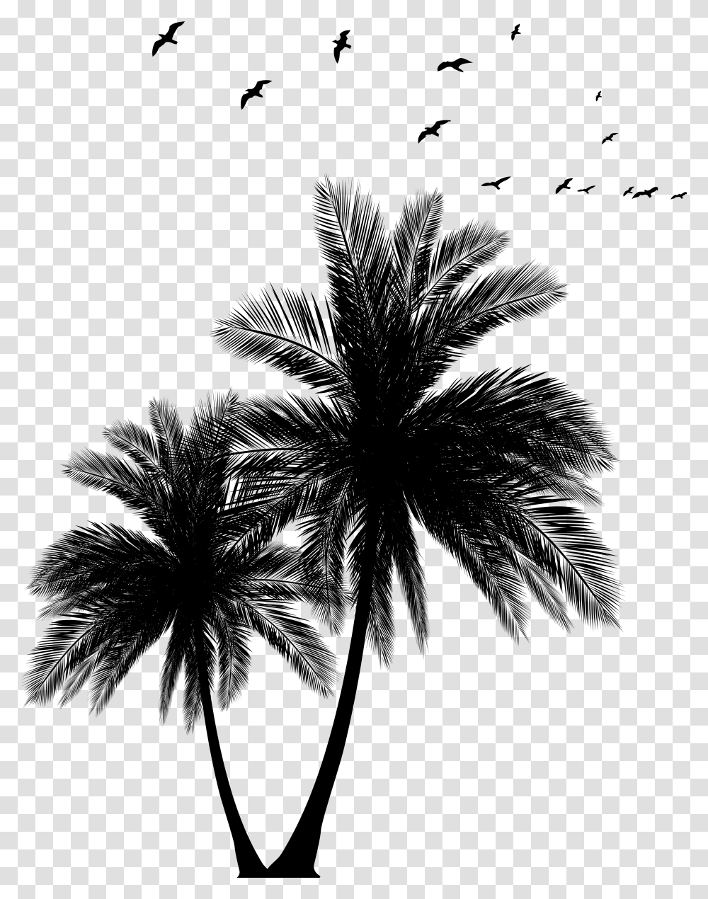 Palms Palm Tree Sun Set Black And White Vector, Gray, World Of Warcraft Transparent Png