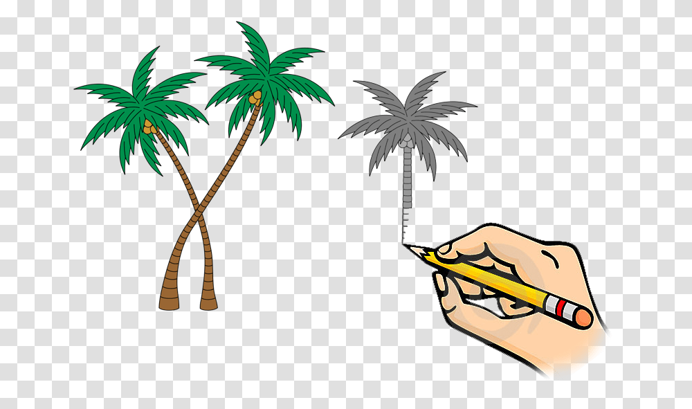 Palms, Tree, Plant, Palm Tree Transparent Png
