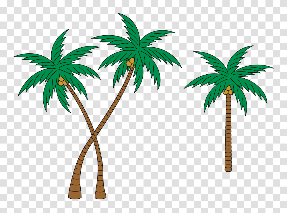 Palms, Tree, Plant, Vegetation, Palm Tree Transparent Png