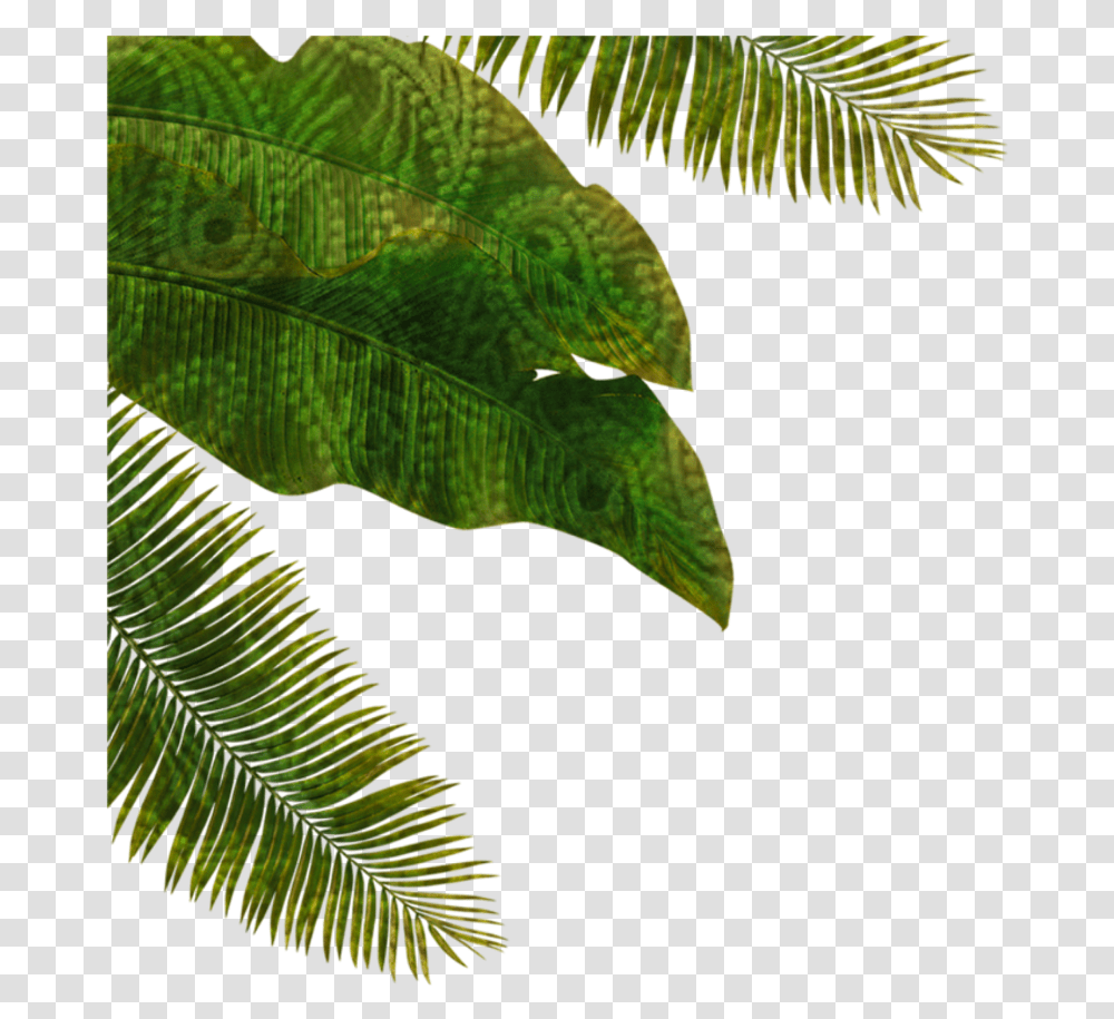 Palmtree Palm Leaves Fantasy Nature Green Nature Fantasy, Leaf, Plant, Vegetation, Bird Transparent Png