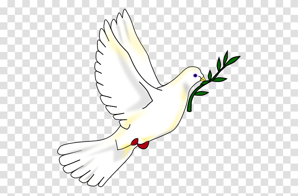 Paloma Animada Image, Bird, Animal, Pigeon, Dove Transparent Png