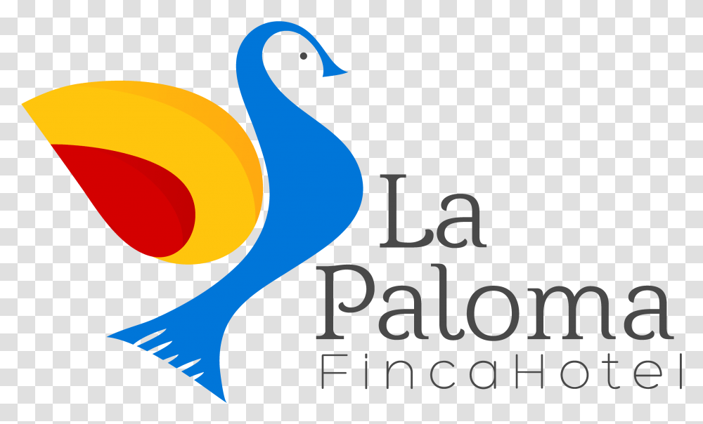 Paloma Blanca Image Duck, Text, Animal, Bird, Art Transparent Png