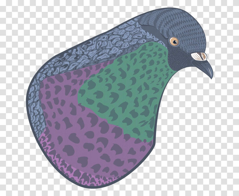 Paloma Pigeons And Doves, Rug, Bird, Animal Transparent Png