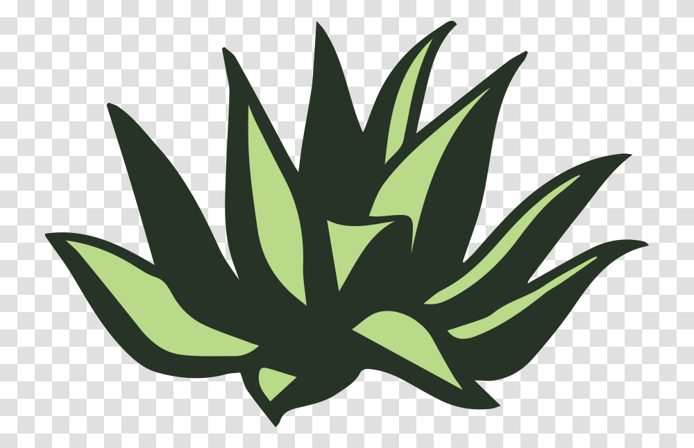 Palomas Blancas, Plant, Aloe Transparent Png