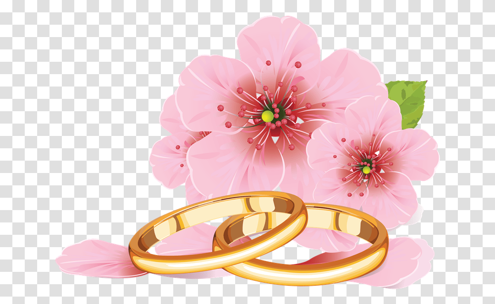 Palomas Con Anillos De Boda Cherry Blossom Flower Drawing, Plant, Accessories, Accessory, Jewelry Transparent Png