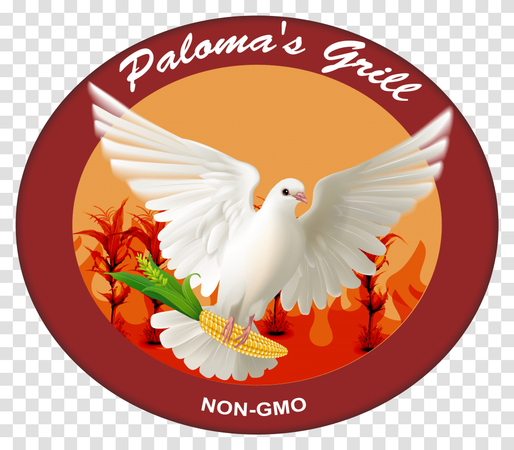 Palomas Grill Church Of Scotland Guild, Bird, Animal, Dove, Pigeon Transparent Png