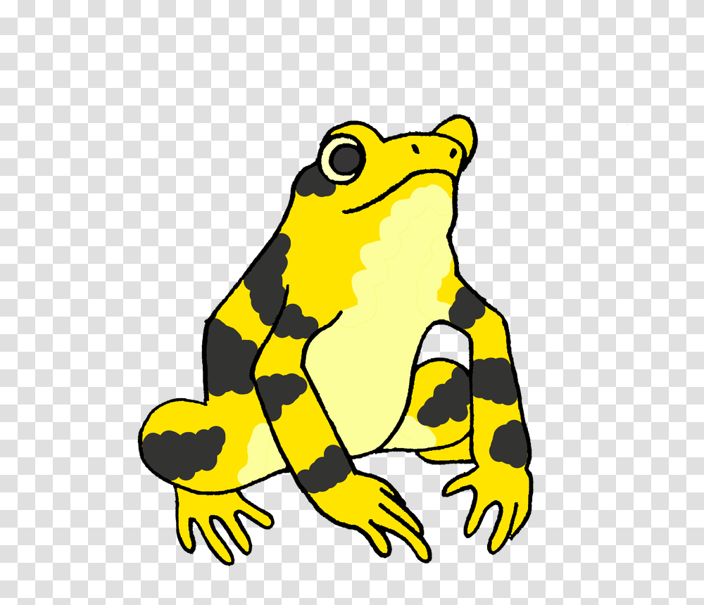 Panamanian Golden Frogs, Amphibian, Wildlife, Animal, Tree Frog Transparent Png