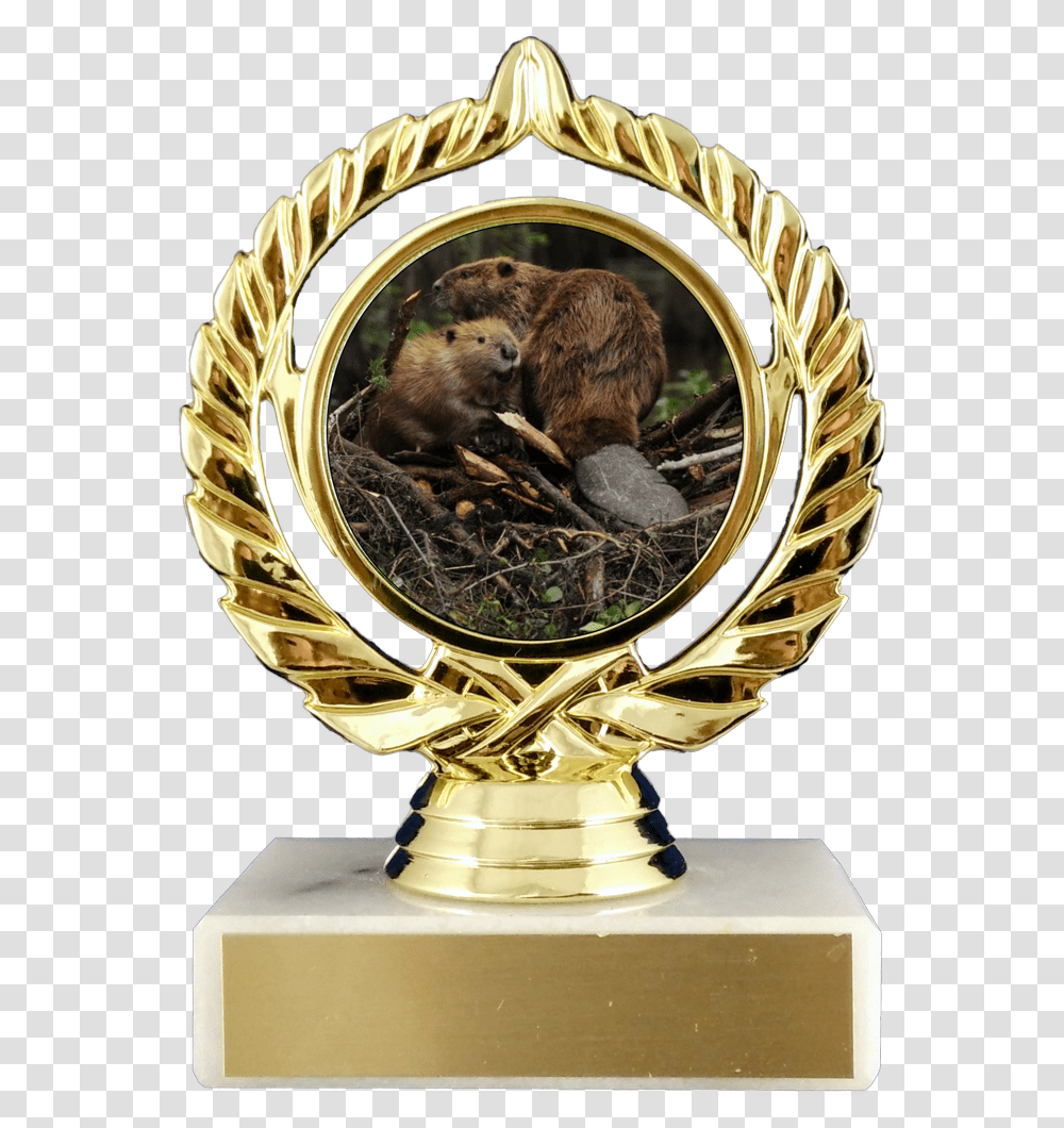 Pancake Award, Rodent, Mammal, Animal, Helmet Transparent Png