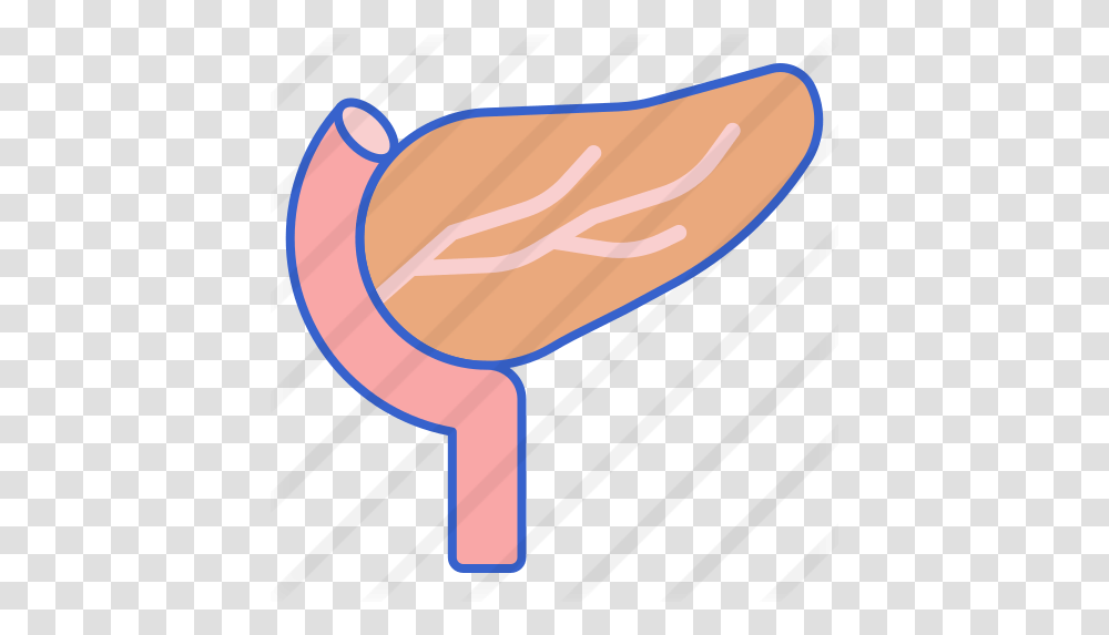Pancreas Free Medical Icons Meat, Axe, Tool, Clothing, Apparel Transparent Png