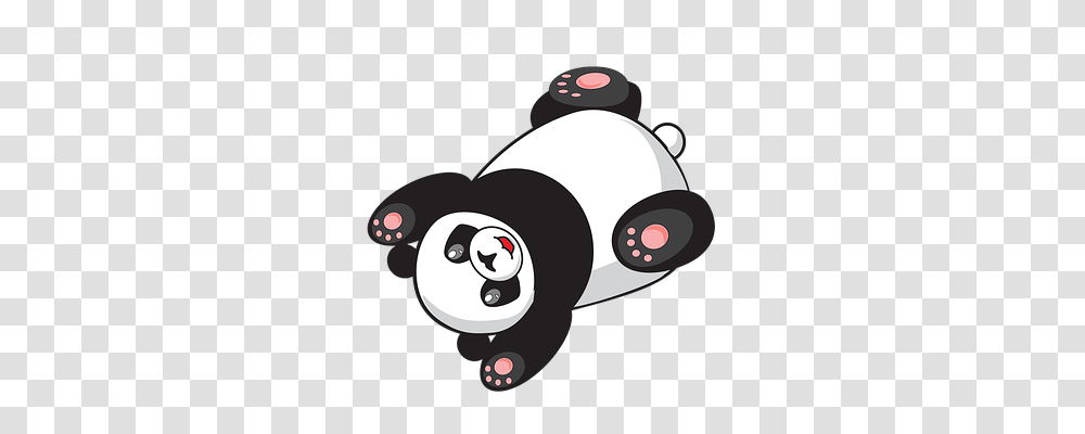 Panda Animals, Machine, Disk, Alarm Clock Transparent Png