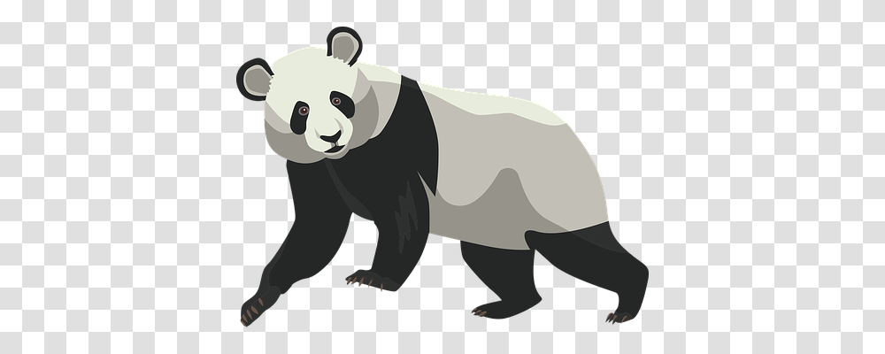 Panda Nature, Bear, Wildlife, Mammal Transparent Png