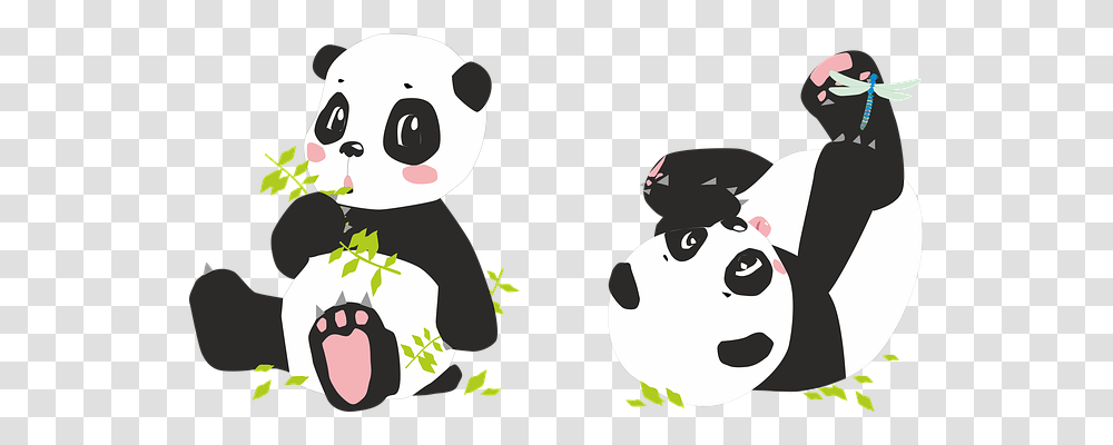 Panda Person, Giant Panda, Wildlife, Mammal Transparent Png