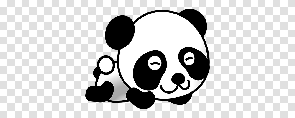 Panda Animals, Stencil, Face Transparent Png