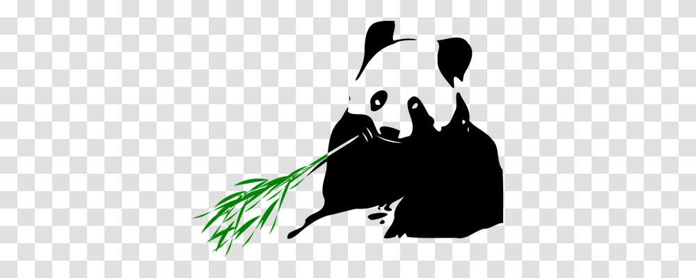 Panda Animals, Logo, Trademark Transparent Png