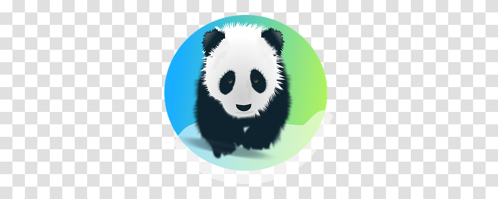 Panda Animals, Bear, Wildlife, Mammal Transparent Png