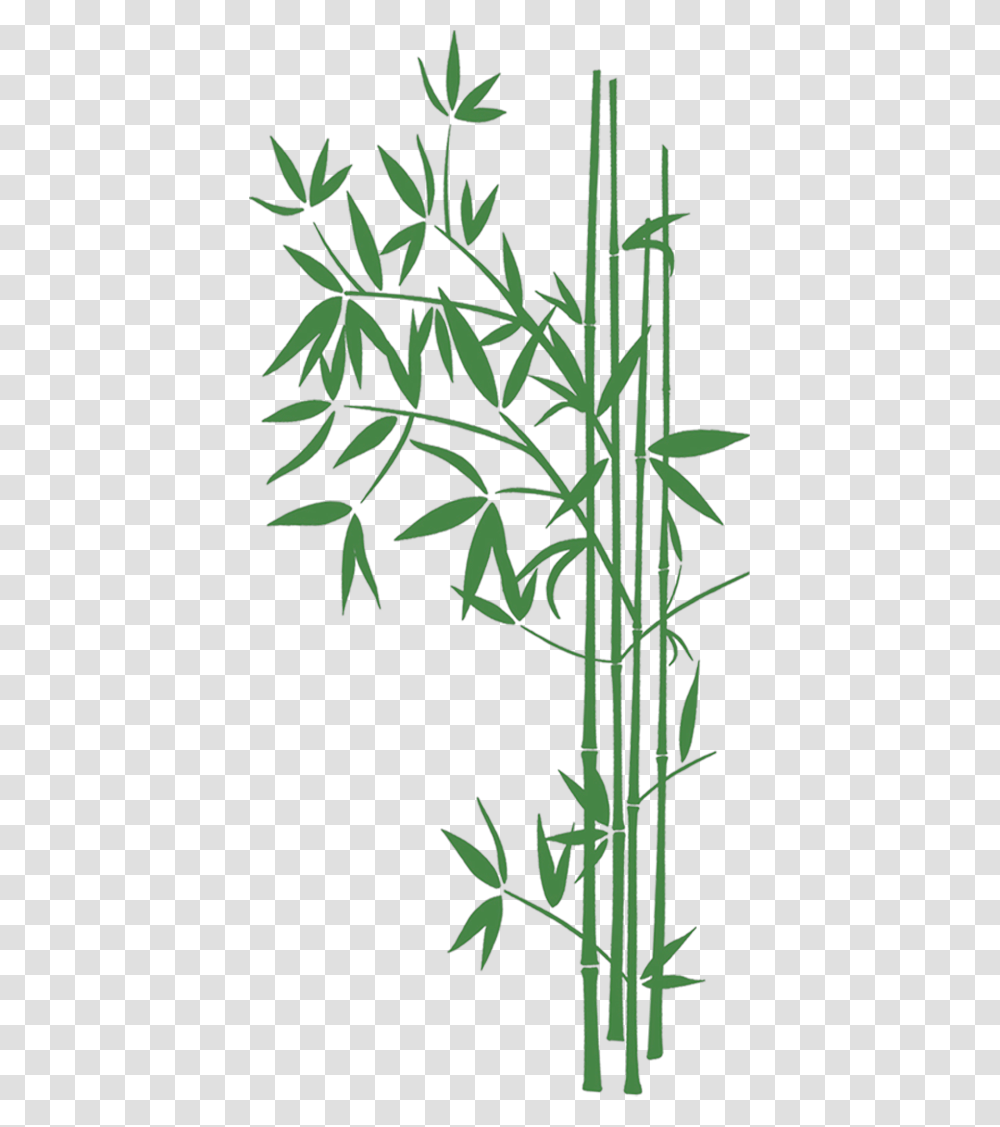 Panda And Bamboo Wallpaper Hd, Plant, Rug, Grass Transparent Png