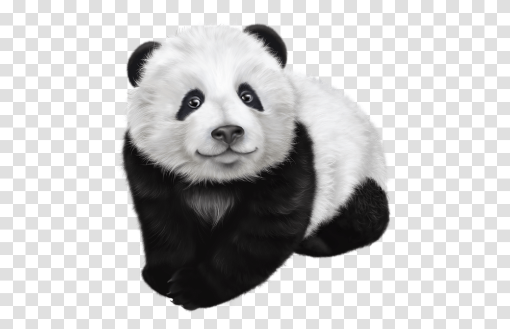 Panda Animal Images Bear Black And White Panda Drawing, Wildlife, Mammal, Giant Panda, Dog Transparent Png
