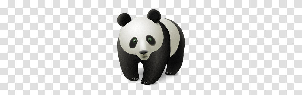 Panda, Animals, Mammal, Wildlife, Bear Transparent Png
