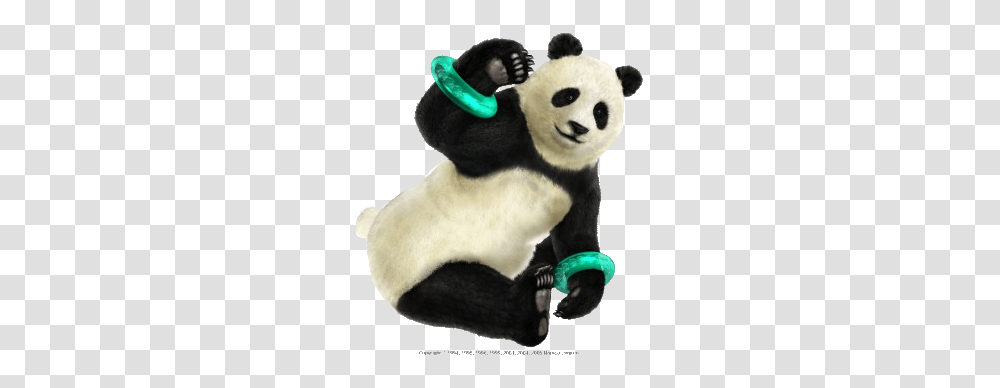 Panda, Animals, Plush, Toy, Mammal Transparent Png