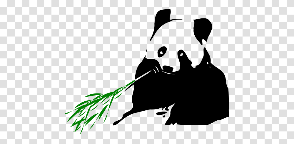 Panda Bear Panda Eating Bamboo, Green, Bird, Animal, Plant Transparent Png