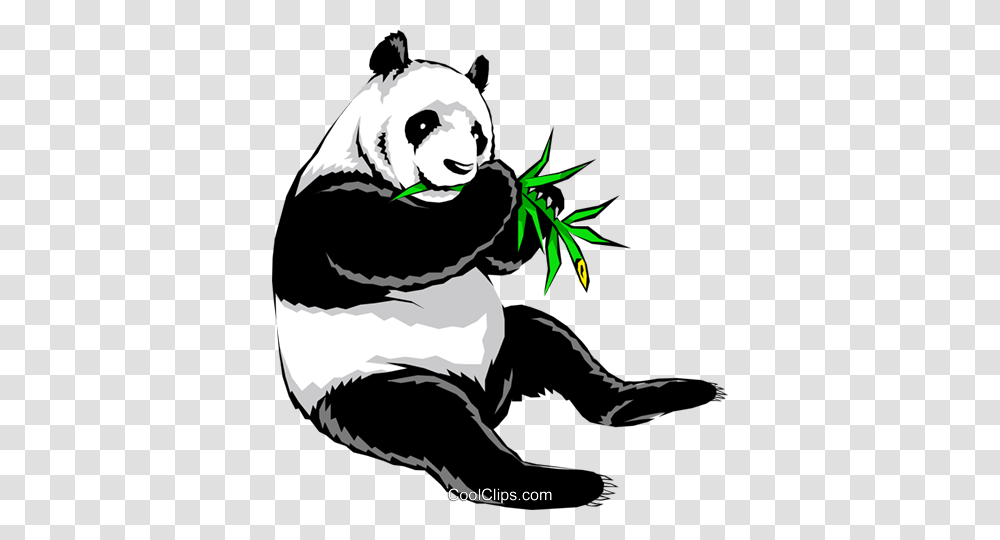 Panda Bear Royalty Free Vector Clip Art Illustration, Wildlife, Animal, Mammal, Giant Panda Transparent Png