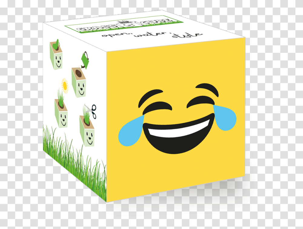 Panda Cube, Cardboard, Box, Carton, Beverage Transparent Png