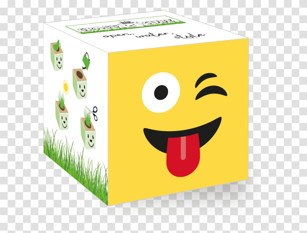 Panda Cube, Cardboard, Box, Carton Transparent Png