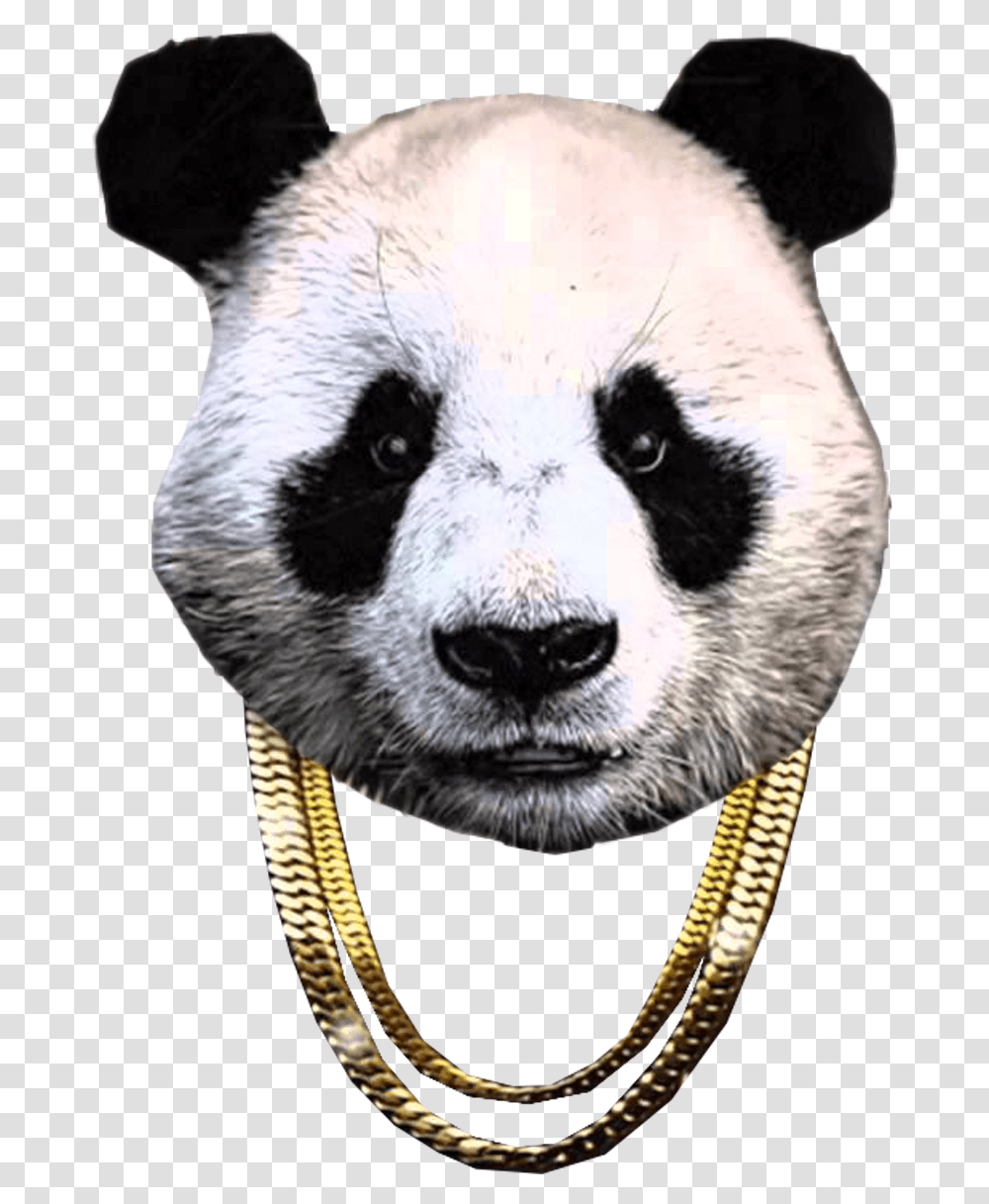 Panda Desiigner Panda With Chain, Mammal, Animal, Bear, Wildlife Transparent Png