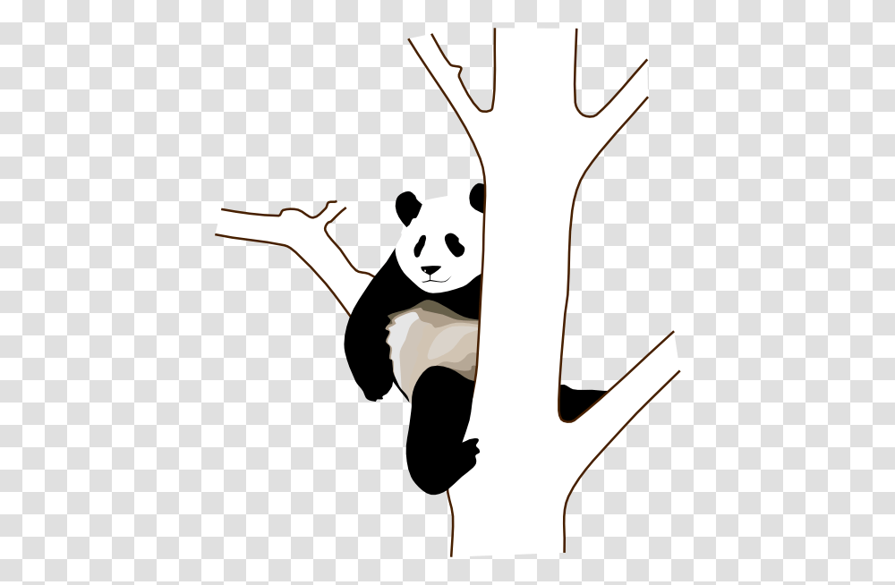 Panda Drawing On Tree, Stencil, Face, Giant Panda, Bear Transparent Png